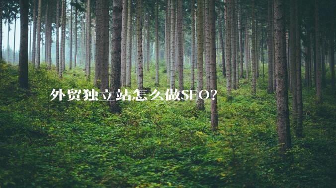 外贸独立站怎么做SEO？